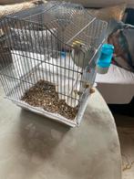 Oiseau inséparable + cage, Métal, Neuf, Cage à oiseaux