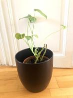 Grand cache pot grès 26cm de haut et 26cm de diamètre, Enlèvement, Comme neuf