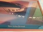 Ingelijste posters, onder glas naar Yann ARTHUS-BERTRAND., Ophalen, Zo goed als nieuw, 75 tot 100 cm, 50 tot 75 cm