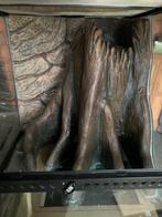 Exo terra (45x45x45), Ophalen, Gebruikt, Terrarium of Paludarium