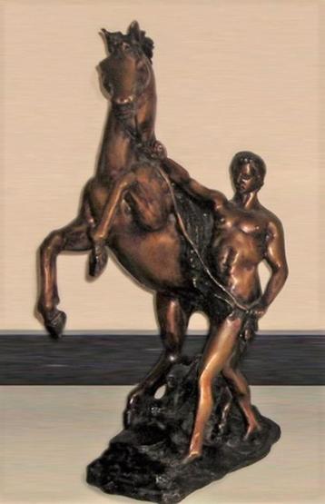 Bronze "l'homme et son cheval"