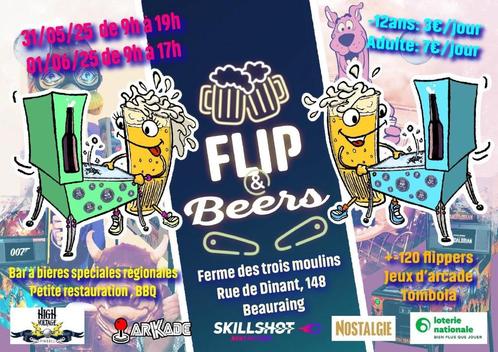 Salon du flipper à Beauraing, Verzamelen, Automaten | Flipperkasten, Ophalen