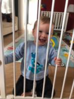 veiligheidshek BabyDan Flex XL, Ophalen, Gebruikt, Overige typen, 115 cm of meer