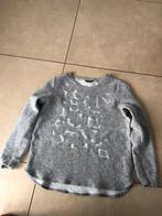 Sweater maat Medium, Kleding | Dames, Truien en Vesten, Gedragen, Grijs, Maat 38/40 (M), Green Ice