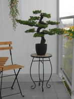 Grands bonsaï artificiels de jardin, Maison & Meubles, Extérieur, Enlèvement, Neuf