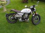 Occasion, moto FB MONDIAL 125 cc, 4 cilinders, 125 cc, 11 kW of minder, Sport