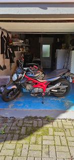 Suzuki Gladius 650 permis A2, Motoren, Motoren | Suzuki, 2 cilinders, Sportuitlaat, Particulier, Meer dan 35 kW