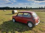 Mini Austin 1000cc, Particulier, 1000 cc, 2 deurs, Te koop