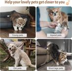 Piège à chien large | LIVRAISON GRATUITE, Animaux & Accessoires, Paniers pour chiens, Neuf, -, Autre, -