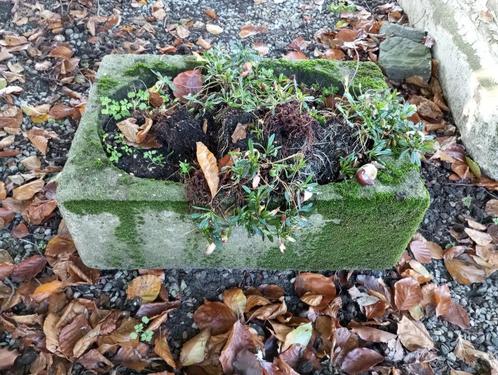 Bloempotten en diverse, Jardin & Terrasse, Pots de fleurs, Enlèvement