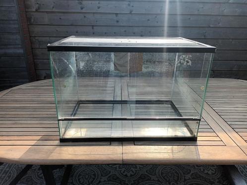 Terrarium 604040cm, Dieren en Toebehoren, Reptielen en Amfibieën | Toebehoren, Gebruikt, Terrarium of Paludarium, Ophalen