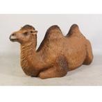 Bactrian Camel Resting – Kameel beeld Lengte 230 cm, Verzamelen, Nieuw, Ophalen