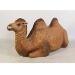 Chameau de Bactriane au repos — Statue de chameau longueur 2, Collections, Collections Animaux, Enlèvement, Neuf