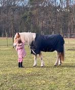 Beginners Pony gezocht, Dieren en Toebehoren, B, Dressuurpony, 7 tot 10 jaar, B pony (1.17m tot 1.27m)