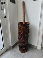 Prachtige grote Afrikaanse vijzel, Ophalen