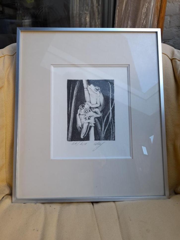 ets, kikkers, gesigneerd, Antiek en Kunst, Kunst | Etsen en Gravures, Ophalen of Verzenden