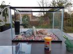 Aquarium 35 liter, Dieren en Toebehoren, Vissen | Aquaria en Toebehoren, Ophalen