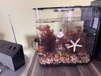 Biorb flow MRC aquarium, Dieren en Toebehoren, Ophalen, Zo goed als nieuw, Gevuld zoetwateraquarium