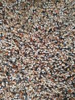 Original Liessens Distelvink 20kg - Hobbyfarm Hoebregts, Dieren en Toebehoren, Ophalen, Nieuw