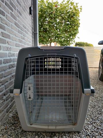 Autobench grote hond beschikbaar voor biedingen