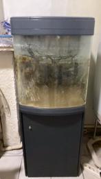 Aquarium d’eau de mer, Enlèvement, Utilisé