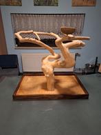 javaboom, Animaux & Accessoires, Oiseaux | Accessoires, Enlèvement, Utilisé, Autres types