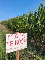 Mais op stam te koop, Kinderen en Baby's, Kraamcadeaus en Geboorteborden, Ophalen, Zo goed als nieuw