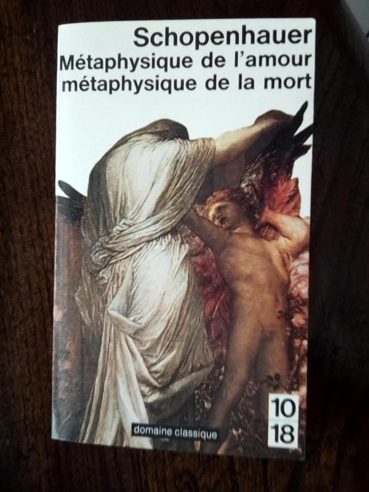 Livres de Schopenhauer et Roumajon, Livres, Philosophie, Neuf, Enlèvement ou Envoi