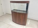Aquarium Juwel Led Vision 180L complet avec Meuble ., Dieren en Toebehoren, Ophalen, Gebruikt, Leeg aquarium
