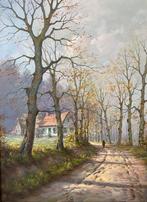 Groot landschap Emiel Decraene, “Naert”, Ophalen