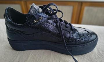 Damesschoenen Floris Van Bommel maat 37 nieuw beschikbaar voor biedingen