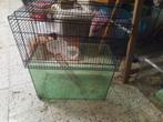 Hamsterkooi te koop 5€, Dieren en Toebehoren, Ophalen of Verzenden, Kooi, Hamster