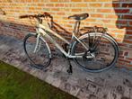 Lombardo vélo sportif pour femme en aluminium, Autres marques, 50 à 53 cm, Plus de 20 vitesses, Enlèvement