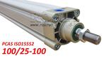 PCAS 100/25xx ISO15552 PNEUMATISCHE PERSLUCHTCILINDER, Doe-het-zelf en Bouw, Gereedschap | Overige machines, Verzenden, Nieuw