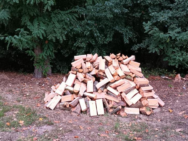brandhout, Tuin en Terras, Brandhout, Blokken, Overige houtsoorten, Ophalen of Verzenden