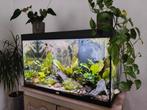 Aquarium prijs te bespreken, Ophalen, Zo goed als nieuw