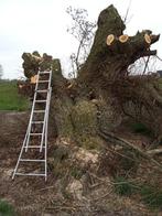 Wij komen uw knotwilgen snoeien inruil voor het brandhout, Tuin en Terras, Ophalen