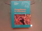NIEUWSTAAT :  Zoogdieren in Vlaanderen – Sven Verkem, Joachi, Boeken, Sven Verkem, Nieuw, Ophalen of Verzenden, Natuur algemeen