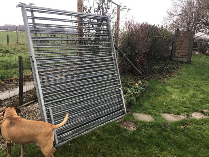 Kooi voor honden, Dieren en Toebehoren, Honden-accessoires, Gebruikt, Ophalen