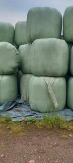 Midi balen voordrooghooi, Zakelijke goederen, Landbouw | Veevoer, Ophalen
