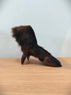 Curiosité Taxidermie - sabot de sanglier, Collections, Enlèvement ou Envoi, Comme neuf