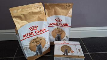 Royal canin britisch shorthair - britse korthaar beschikbaar voor biedingen