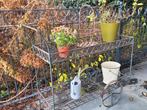 Tuin vintage plantenwagen - rolwagen in smeedijzer, Enlèvement, Utilisé