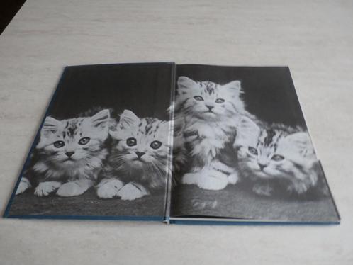 Livre soigner les jeunes chats Fernand Nathan., Boeken, Dieren en Huisdieren, Gelezen, Katten, Ophalen of Verzenden