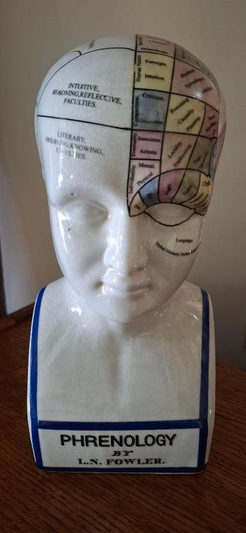 Phrenology hoofd - hoofd ornament porselein, Antiek en Kunst, Kunst | Beelden en Houtsnijwerken, Ophalen of Verzenden