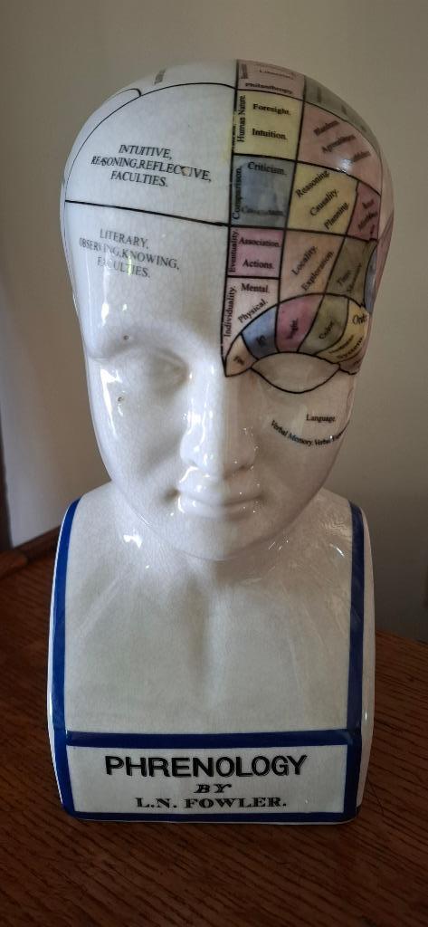 Phrenology hoofd - hoofd ornament porselein, Antiek en Kunst, Kunst | Beelden en Houtsnijwerken, Ophalen of Verzenden