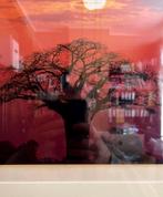 Foto van een Baobab boom, Maison & Meubles, Comme neuf, Enlèvement ou Envoi