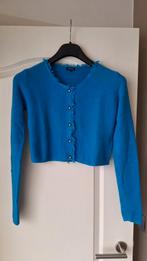 Vestje Caroline Biss, Kleding | Dames, Truien en Vesten, Caroline Biss, Ophalen of Verzenden, Zo goed als nieuw, Maat 36 (S)