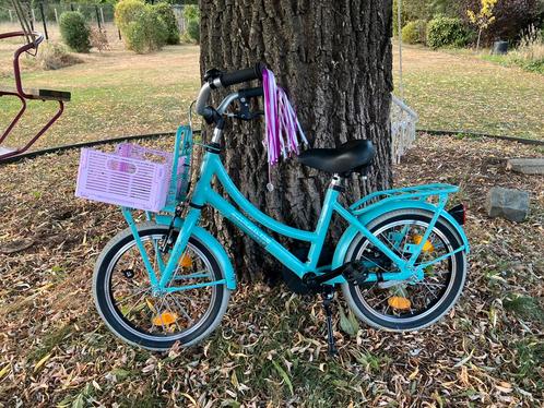 Alpina cargo fiets kind bike kids 16 inch meisjesfiets, Fietsen en Brommers, Fietsen | Kinderfietsjes, Zo goed als nieuw, 16 tot 20 inch