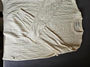 Te koop herenpull xxl terre bleu, Andere, Enlèvement ou Envoi, Autres couleurs, Comme neuf